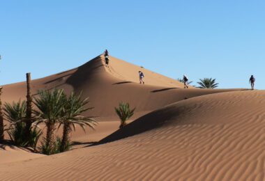 Saharan Trek with Julia’s House