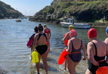 Bluetits Pembrokeshire: Home of the Bluetits 2027