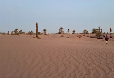 Morocco: Sahara Trek 2028