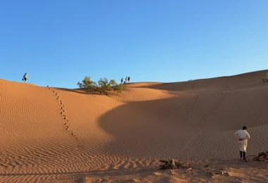 Noah’s Ark Children’s Hospital Charity Sahara Trek 2027