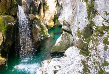 Bluetits: Alpine Lakes of Slovenia 2026