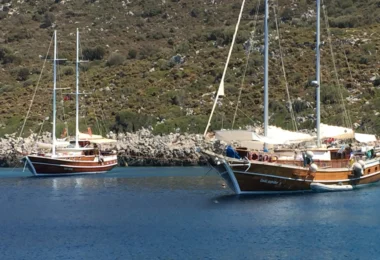 Bluetits: Turkish Gulet Cruise 2026