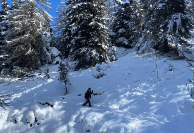 French Alps Snowshoe Trek