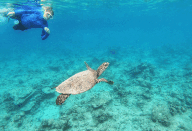 Maldives: Conservation Gulet Cruise 2028