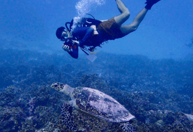 Maldives: Conservation Gulet Cruise 2027