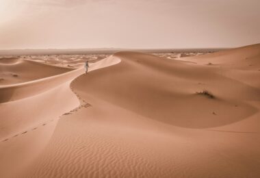 St Wilfrid’s Hospice (Chichester) Sahara Trek 2027