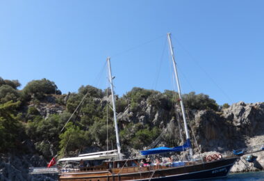 Bluetits: Turkish Gulet Cruise 2027